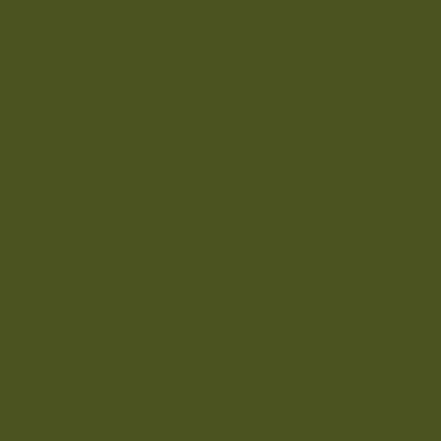 Olive Essence