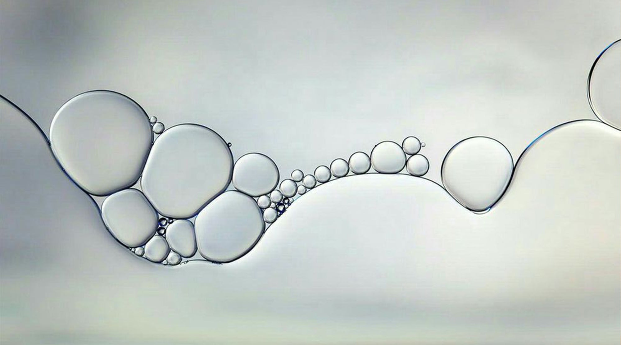 Lace Laboratory
