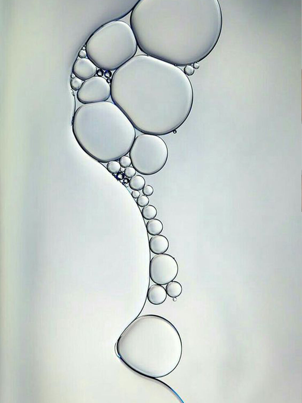 Lace Laboratory